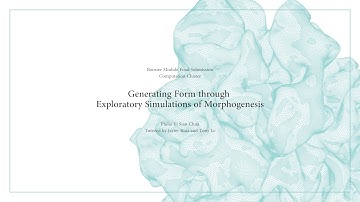 Generating Form through Exploratory Simulations of Morphogenesis