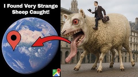 I Found Very Strange Sheep 🐑 On Google Earth And Map #googleearth #googlemaps #viralvideo 