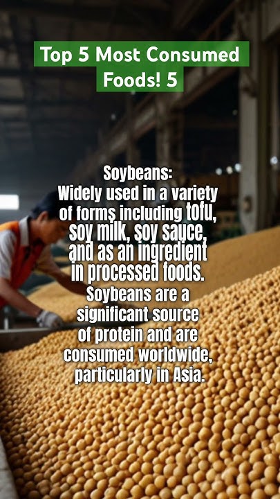 top-5-most-consumed-foods-5-soybean-food-funablefacts-et5kv