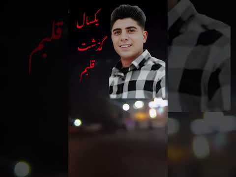 داداشی یکسال شد که نیستی اما برام قد یک قرن گذشت رضا زندش