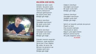 Bi̇ldi̇ği̇n Gi̇bi̇ Deği̇l, Ali̇ Kinik Ari̇f Nazim