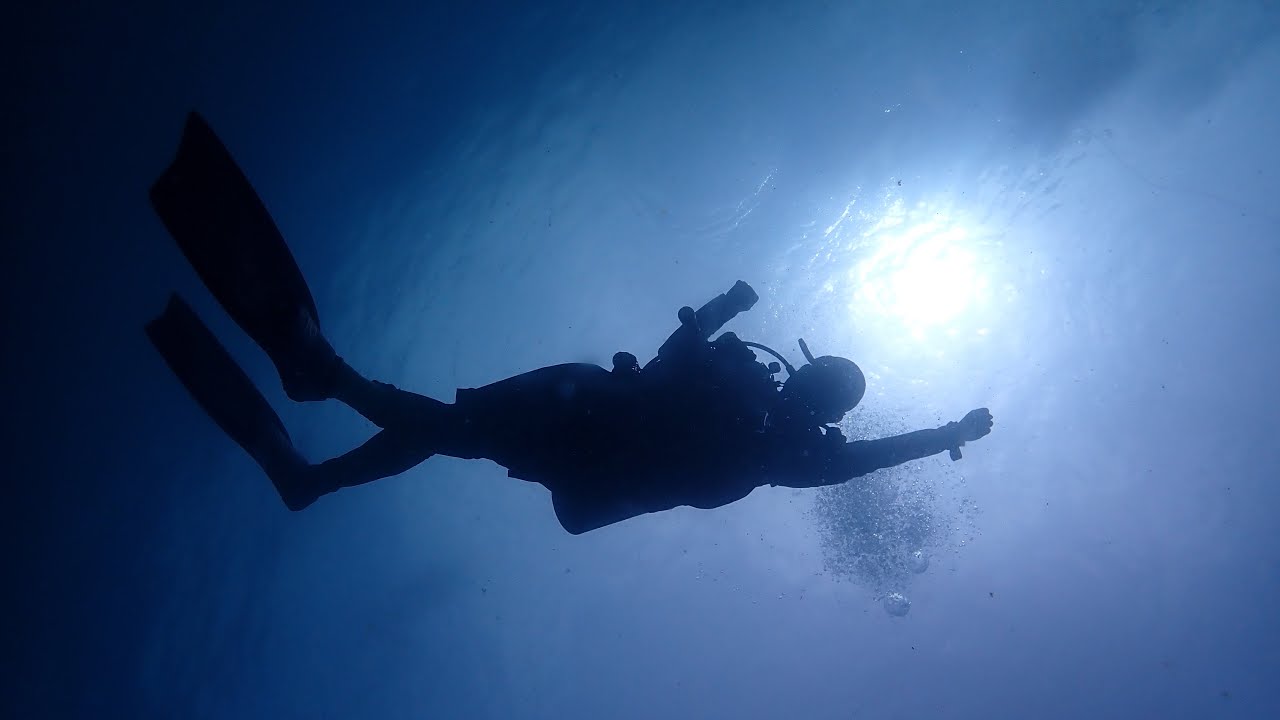 어드벤스드 스쿠버다이버 말소형의 세부 다이빙 현장 / 2025년 12월 21일