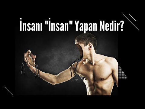 Düşünmece - İnsanı İnsan Yapan Nedir? - Bilinç, Algı ve Sorgulamanın Önemi