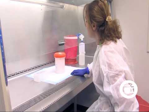 კახეთში 10 საეჭვო სიმპტომის მქონე პაციენტს კოვიდ-19 არ დაუდასტურდა