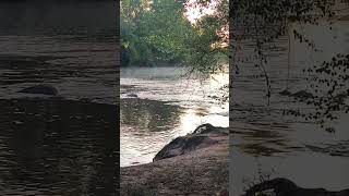 Nature is Beautiful! #nature #river #riversounds #vital #irie #blaze818