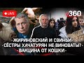 Жириновский и свиньи / Сёстры Хачатурян не виноваты? / Поклонись депутату! / Вакцина от кошки