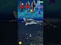 Hungry Shark Evolution Gameplay New Shark Update New 