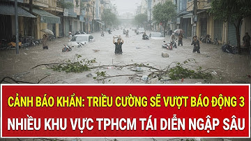 Cảnh báo khẩn: Triều cường sẽ vượt báo động 3, nhiều khu vực TPHCM tái diễn ngập sâu