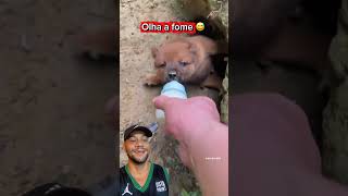 Que fome é essa repolho 😂 #cachorro #petsfofinhos #pets #cachorrosdivertidos