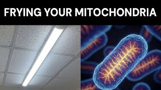Give me 5 minutes and You’ll Never Use Artificial Light Again