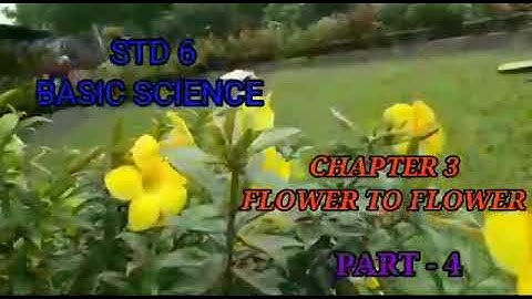 Standard 6 Basic Science Chapter 3 Part 4 Flower to Flower
