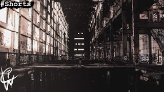 Abandoned power plant | Cinematic Flare sequence | #SHORTS