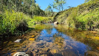 Exciting Small Stream Trout Fishing