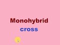 Monohybrid cross
