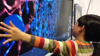 Exploring neurons on a 4K screen at the U.S. Science and Engineering Festival
