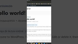 Une astuce pour vos articles de blog sur WordPress ? wordpress blog shorts