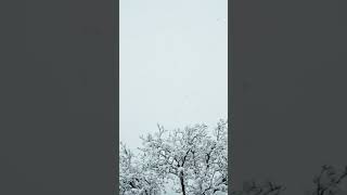 Manchu Kurise Velalo