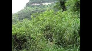 Cambodia - Dangrek Mtns, Prasat Preah Vihear