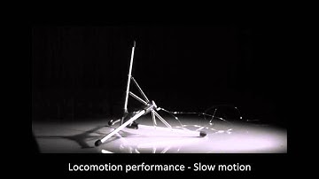 Locomotion system based on a tensegrity structure