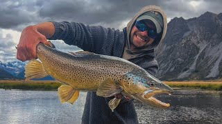 Lots of Big Browns on Dry Fly (New Zealand Episode 9)