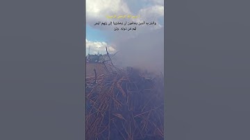 وَأَنذِرْ بِهِ ٱلَّذِينَ يَخَافُونَ #القرآن_الكريم #محمد_صديق_المنشاوي #المنشاوي_الباكي #تلاوة_خاشعة