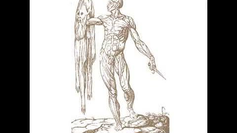 Chasing Voices - Awoken By Tears