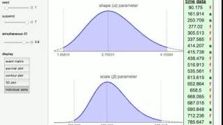 Simultaneous Confidence Interval for the Weibull Parameters