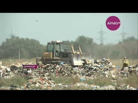 Бейне: Қоқыс дорбасынан табылған сал ауруы бар таксунд жаңа үйді жақсы көреді