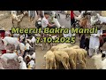 Meerut Tuesday Bakra Mandi 7 October 2025 #viralvideo #goat #azharvlogs #animals #bakramandi #viral 
