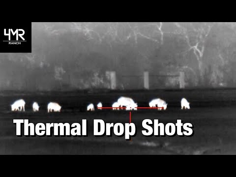 Thermal Drop Shots | ATN ThOR 4