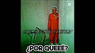 el coyote no sera el betasoldado que grito edit animalize21 fedevigevani