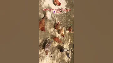 شئ محرم على الزوجة حتا لو كانت مع زوجها 