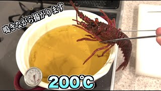 可愛いサイズの伊勢海老を200℃のオリーブオイルに突っ込んだら。。。