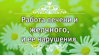 Работа печени и желчного и ее нарушения | Стратегия женского здоровья Работа печени и желчного и ее нарушения | Стратегия женского здоровья