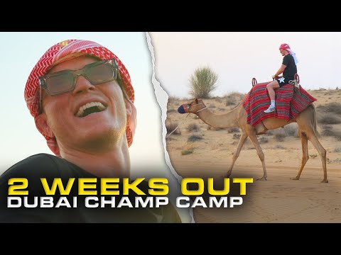 FULL WEEK in the Life | 2 WEEKS OUT | Paul Hughes Dubai Champ Camp | EP 4