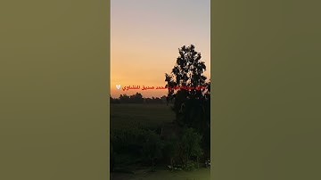 تلاوة مباركة للقارئ محمد صديق المنشاوي 🤎