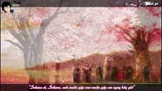 [Vietsub Kara] Sakura Anata Ni Deaete Yokatta - RSP