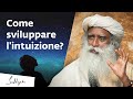 Come sviluppare l'intuizione? Sadhguru risponde | Sadhguru Italiano