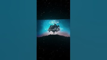 سورة الفرقان|26-27|القارئ:#محمد_اللحيدان #قران #quran #قران_كريم #تلاوة#تلاوة_هادئة #آية#تلاوة_خاشعة