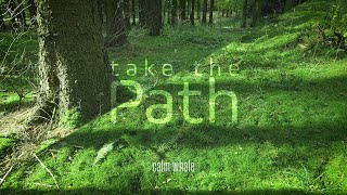 Take the PATH 🌳 Slow Shaman Drum Grounding Meditation * Deep Bass, Kalimba & Chakapa *