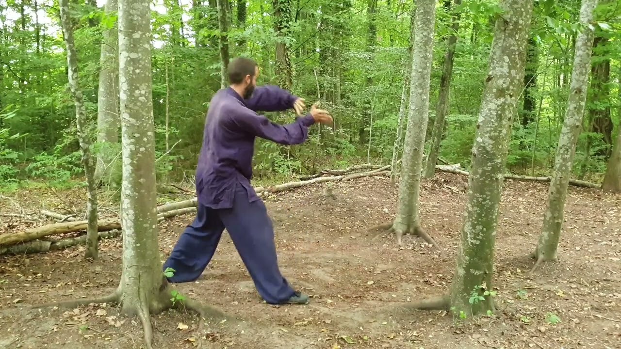 5 Animal Qi Gong in the flow of Taiji - Xuanwupai Gong Fu in Bern