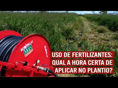 Vídeo: Por que o uso de fertilizantes deve ser reduzido?