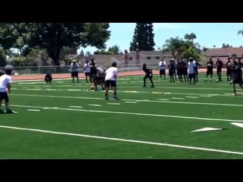 Hawks complete deep pass
