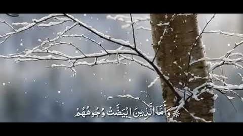 ❤️🤲ماتيسر من سورة آل عمران ♥️القارئ عبدالله الموسى