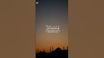 وأقيموا الصلاة وآتوا الزكاة… طاعة تهديك إلى رضوان الله.. سورة البقرة