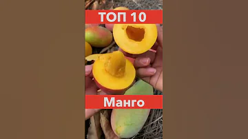 10 фруктов  в Таиланде, которые нужно попробовать / Пхукет / Паттайя / Бангкок #shorts