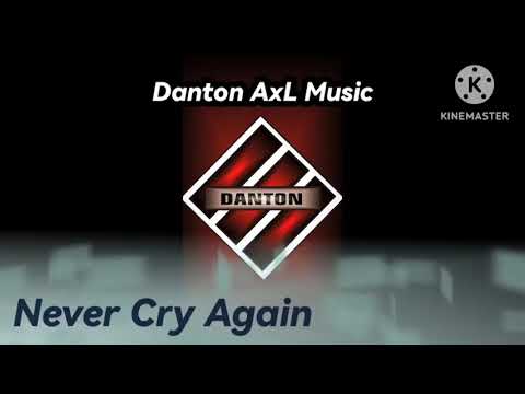 NEVER CRY AGAIN  BreakBeat Remix