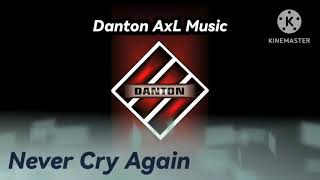 Download Lagu NEVER CRY AGAIN  BreakBeat Remix MP3