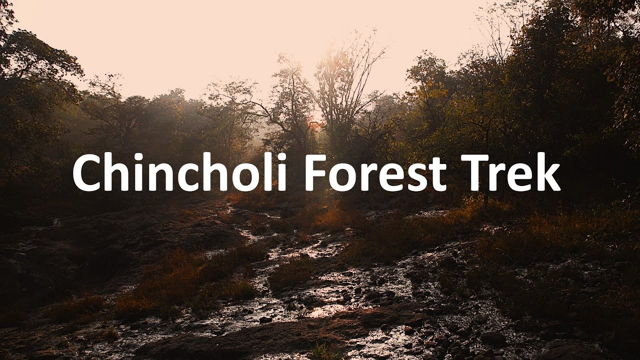 Back In India | Chincholi Forest Trek | Chandrampalli Dam | Gottamgotta Viewpoint | Karnataka