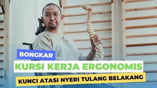 TERAPI  MENGATASI SAKIT PINGGANG, DENGAN KURSI KERJA ERGONOMIS. Review PEXIO MIKE secara medis